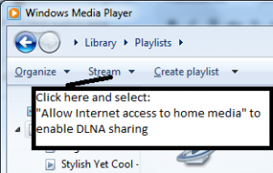 Where to go to enable DLNA in Windows Media Player 12