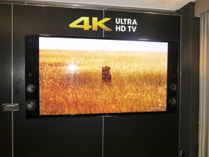 Any of the flat-screen TVs on the market including the 4K models can serve as electronic signage